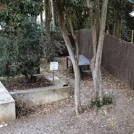 קרקסון Au Vieux Lavoir Avec Parking Prive, Jardin , Climatisation, A 500 M De La Cite מראה חיצוני תמונה