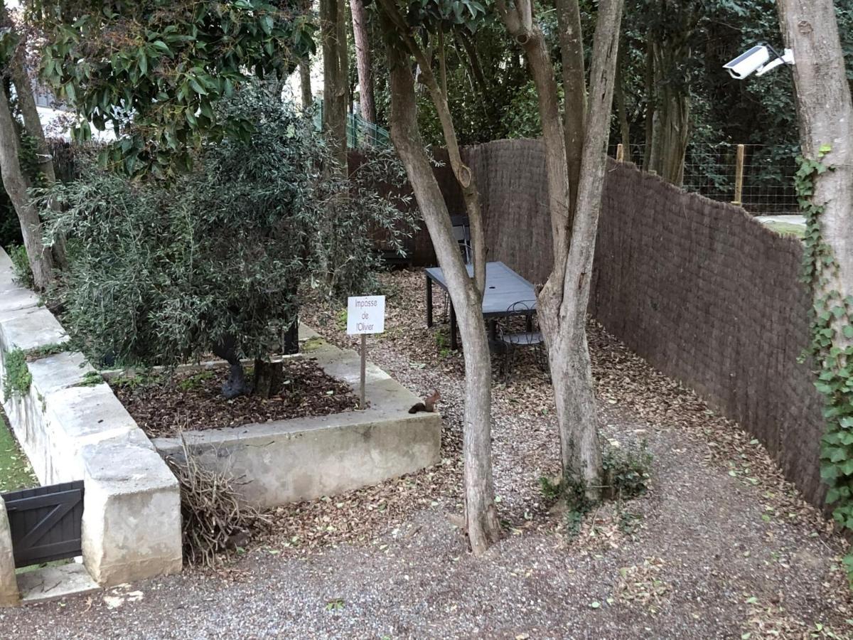 קרקסון Au Vieux Lavoir Avec Parking Prive, Jardin , Climatisation, A 500 M De La Cite מראה חיצוני תמונה