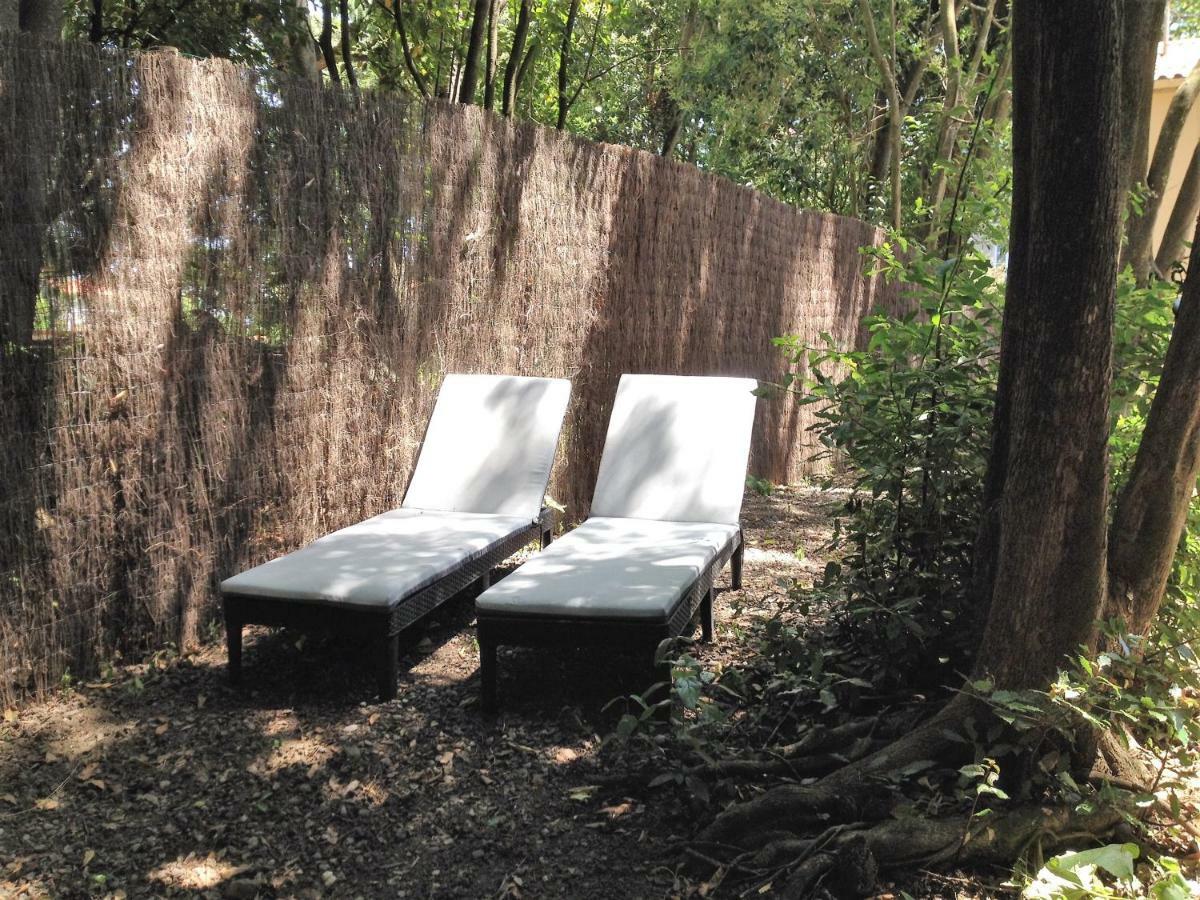 קרקסון Au Vieux Lavoir Avec Parking Prive, Jardin , Climatisation, A 500 M De La Cite מראה חיצוני תמונה